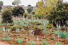 Paisaje en primavera.