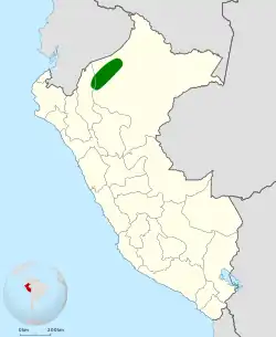 Distribución geográfica del hormiguero de máscara blanca.