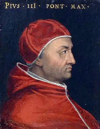 Papa Pío III (1503)