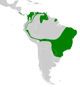 Distribución geográfica del picoplano bigotudo (incluyendo el grupo albogularis).