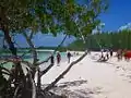 Playa de Cayo Jutias