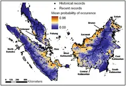 Rango descrito para P. planicepsWilting, Andreas; Hearn, Andrew J.; Mohamed, Azlan; et. al (2010). «Modelling the Species Distribution of Flat-Headed Cats (Prionailurus planiceps), an Endangered South-East Asian Small Felid» (pdf). PLOS ONE (en inglés) 5 (3). doi:10.1371/journal.pone.0009612. Consultado el 24 de octubre de 2014. 