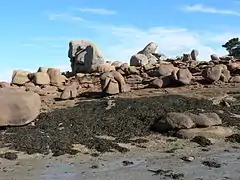 Playa de Ploumanach (marea baja)