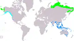 Distribución de Pluvialis fulva