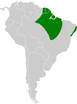 Distribución geográfica del titirijí frentigrís.