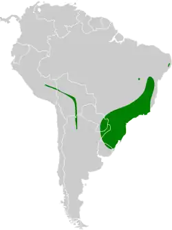 Distribución geográfica del titirijí cabecicanela.