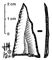 Punta de Tardenois