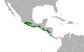 Distribución geográfica de la perlita cejiblanca.