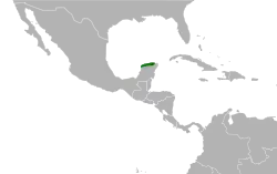 Distribución geográfica de la perlita de Yucatán.