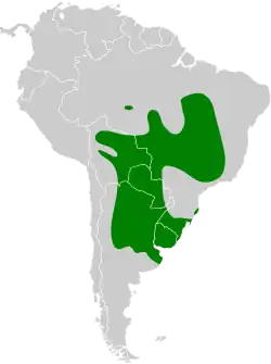 Distribución geográfica de la tacuarita azul.