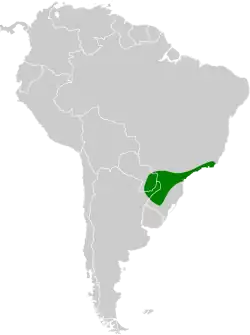 Distribución geográfica de la tacuarita blanca.