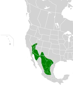 Distribución geográfica de la perlita colinegra.