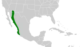 Distribución geográfica de la perlita capirotada.