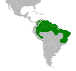 Distribución geográfica de la perlita tropical.