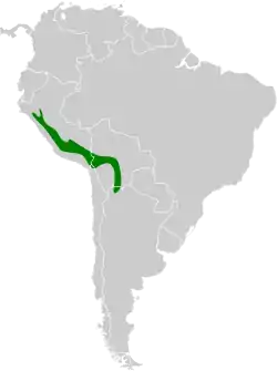 Distribución geográfica del birro alirrufo.