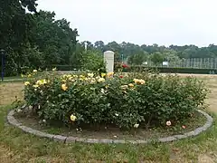 Estela con rosas en Bad Liebenwerda, Alemania.