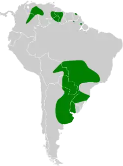 Distribución geográfica del tachurí barbado.