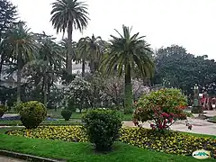 Jardines de Vincenti