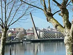 El puente y la ciudad de fondo