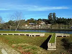 Camino de juncos de Enrique Velasco
