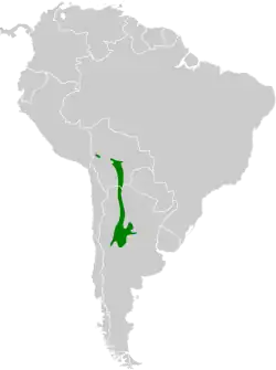 Distribución geográfica del sietevestidos serrano.