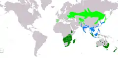 Distribución de Porzana pusilla