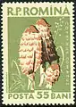 Estampilla romana de 1958 con ilustración de Coprinus comatus