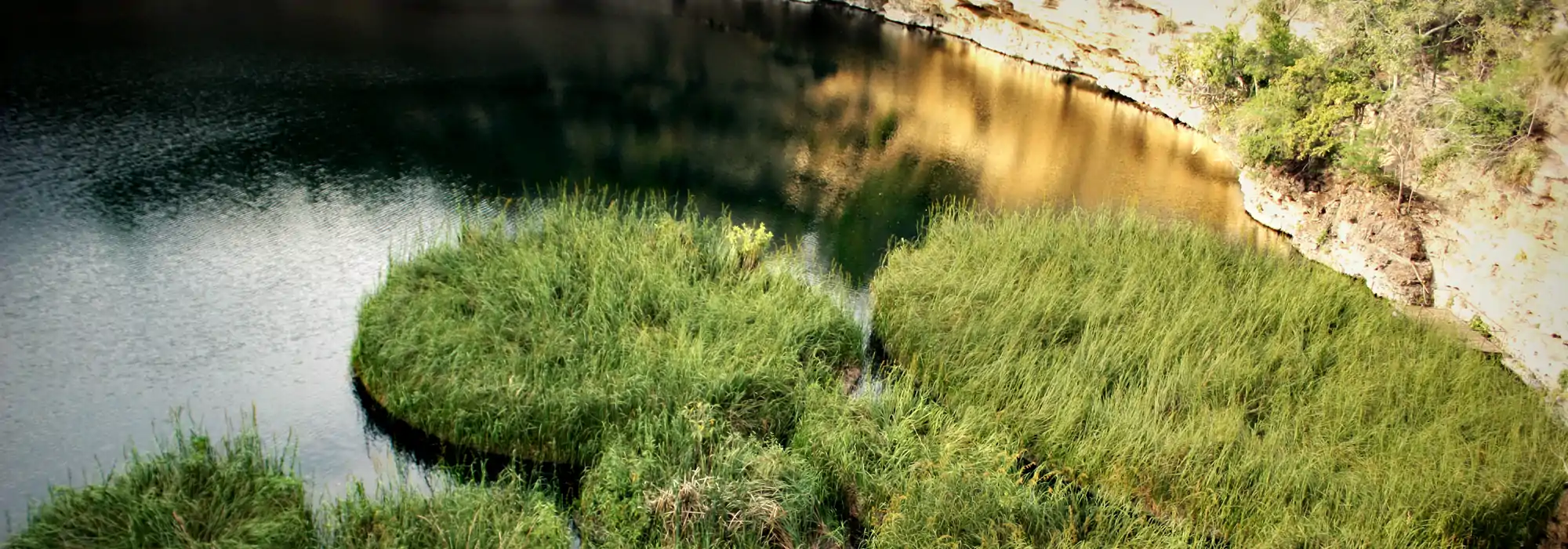 La Poza del Zacaton uno de los atractivos más conocidos de la región y del mundo. Por su increíble historia de la formación de este cenote.