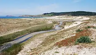 Playa de Doniños.