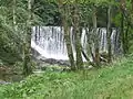 Presa del Suarón en el Mazo de Meredo