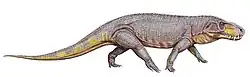 Prestosuchus chiniquensis