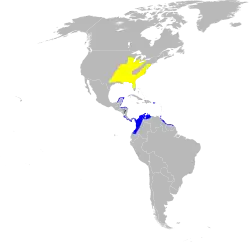 Distribución: Amarillo: anidamiento Azul: invernal