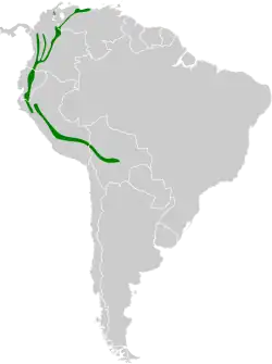 Distribución geográfica del trepamusgos barbablanca andino.