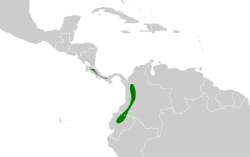 Distribución geográfica del trepamusgos barbablanca panameño.