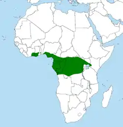 Distribución geográfica del loro yaco (en verde)