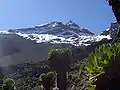 Lenana, el tercer pico en altura, es el más ascendido.