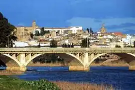 Puente de Palmas y Alcazaba al fondo.