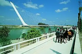 Puente atirantado de pilón contrapeso