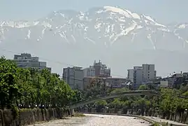 El puente con la cordillera