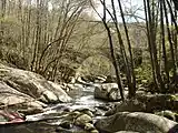 Río Francia