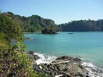 Parque Nacional Manuel AntonioSeleccionado en 2011 por la revista Forbes como uno de los 12 parques más bellos del mundo, está ubicado a 7 km de la ciudad de Quepos, es uno de los destinos turísticos más visitados de Costa Rica, debido a su fácil acceso. Sobresale por las playas de arena blanca rodeadas de selva tropical, la presencia de manglares y la gran diversidad biológica en un área relativamente pequeña (apenas 56 ha). Alrededor de Manuel Antonio crece una bollante y compleja actividad turística.