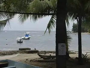 Partes del arrecife coralino se pueden ver desde la playa en Puerto Viejo