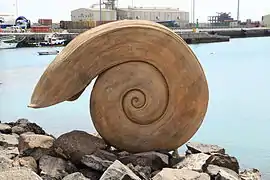 Caracolas, Puerto del Rosario, Fuerteventura (1995).
