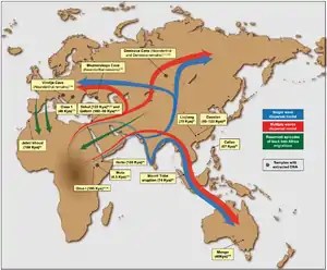 Hipótesis de las olas migratorias del Homo sapiens fuera de África