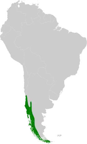 Distribución geográfica del picolezna comesebo.