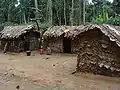 Casas de pigmeos, en el interior de la selva.