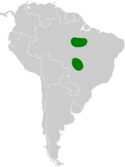 Distribución geográfica del ojodefuego del Tapajós.