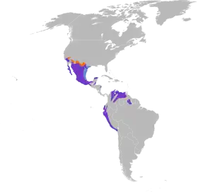 Distribución geográfica del mosquero cardenalEllison, K.; Wolf, B.; Jones, S. (2020). «Vermilion Flycatcher (Pyrocephalus rubinus), version 1.0».  En Poole, A., ed. birdsoftheworld.org (Cornell Lab of Ornithology). doi:10.2173/bow.verfly.01. Archivado desde el original el 6 de septiembre de 2020. Consultado el 15 de abril de 2020. 