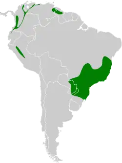 Distribución geográfica del yacutoro.