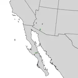 Distribución natural de Quercus ajoensis